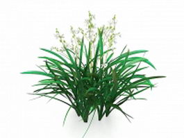 Cymbidium plants 3d model preview