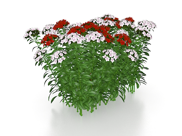 Red and pink flowering plants 3d rendering