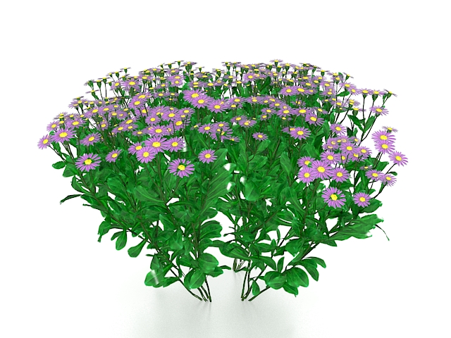Purple sunflower plants 3d rendering