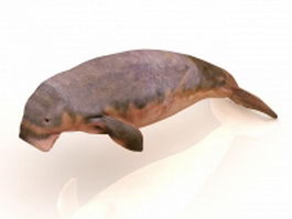 Dugong animal 3d model preview