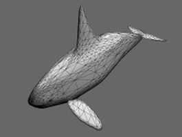 Orca whale 3d model preview