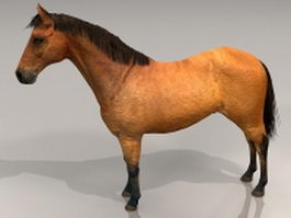 Beautiful horse 3d model preview