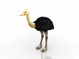 Adult male ostrich 3d model preview