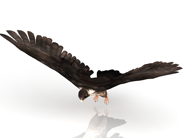 Flying falcon bird 3d rendering