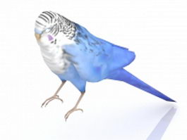 Parakeet bird 3d model preview