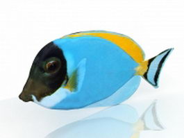 Blue tropical fish 3d model preview