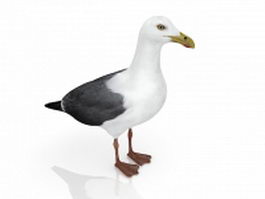 Drake duck 3d model preview