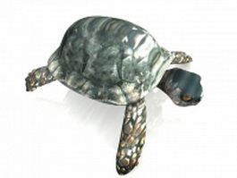 Sea turtle 3d model preview