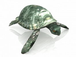 Green sea turtle 3d model preview