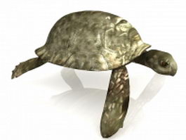 Wood turtle 3d model preview