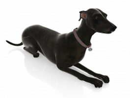 Black dog 3d model preview
