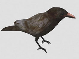 American crow 3d model preview