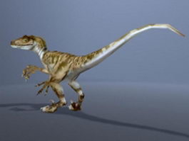 Velociraptor dinosaur 3d model preview