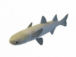 Grass carp fish 3d model preview