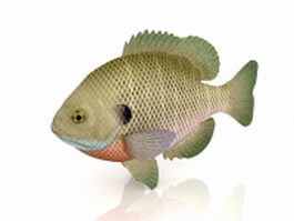 Bream fish 3d model preview