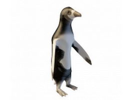 Magellanic penguin 3d model preview