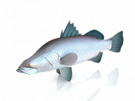 Asian sea bass fish 3d model preview