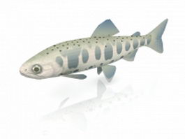 Oncorhynchus masou 3d model preview