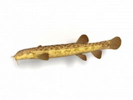 Northern snakehead fish 3d model preview
