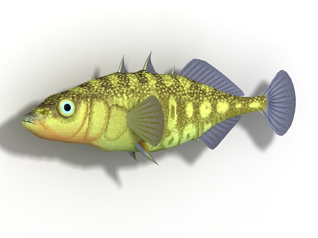 Stickleback fish 3d rendering