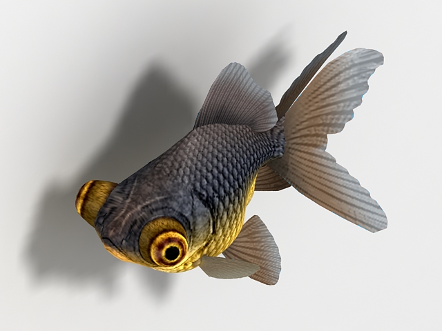 Telescope goldfish 3d rendering