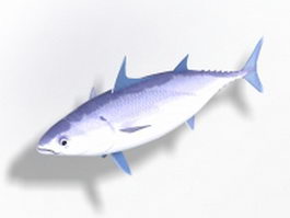 Bonito fish 3d model preview