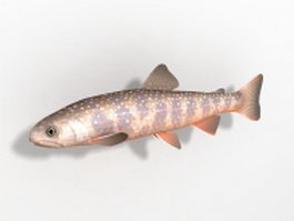 Dolly Varden trout 3d model preview