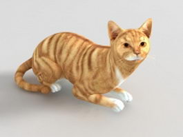 Red tabby cat 3d model preview