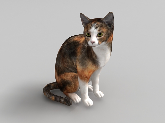 Calico cat 3d rendering