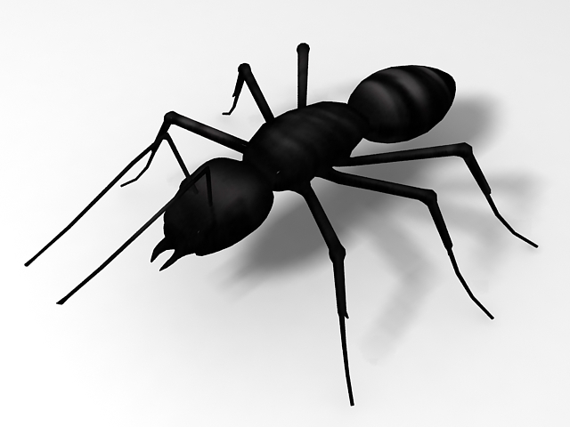 Black garden ant 3d rendering