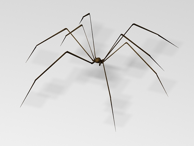 Cell spider 3D model for 3ds max, low polygon 3d animal long ...