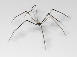 Cell spider 3d model preview