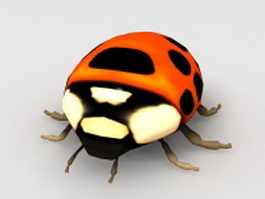 Ladybug insect 3d model preview