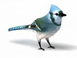 Blue passerine bird 3d model preview