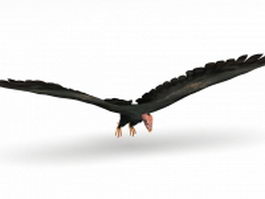 Condor bird 3d model preview