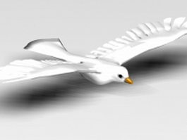 White dove bird 3d model preview