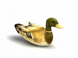 Wild duck 3d model preview