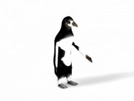 African penguin 3d model preview