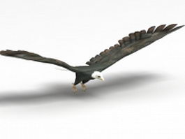 American bald eagle 3d model preview