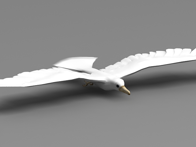 Silver gull bird 3d rendering