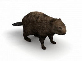 American beaver animal 3d model preview