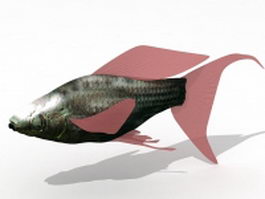 Molly fish 3d model preview