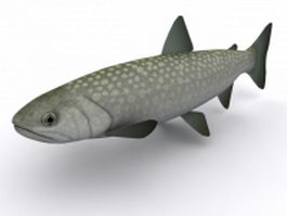 Black carp fish 3d model preview