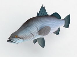 Australian Barramundi Fish 3d model preview