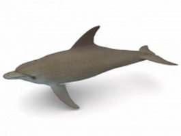 Marine dolphin 3d model preview