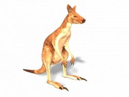 Red kangaroo 3d model preview