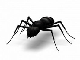 Black carpenter ant 3d model preview