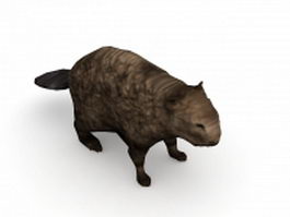 Wetland animal beaver 3d model preview