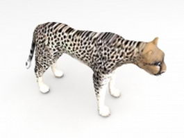 African cheetah 3d model preview