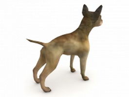 Chihuahua dog 3d model preview